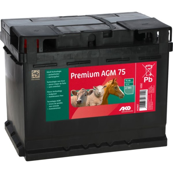 Premium AGM Batterie 12V, 75 Ah