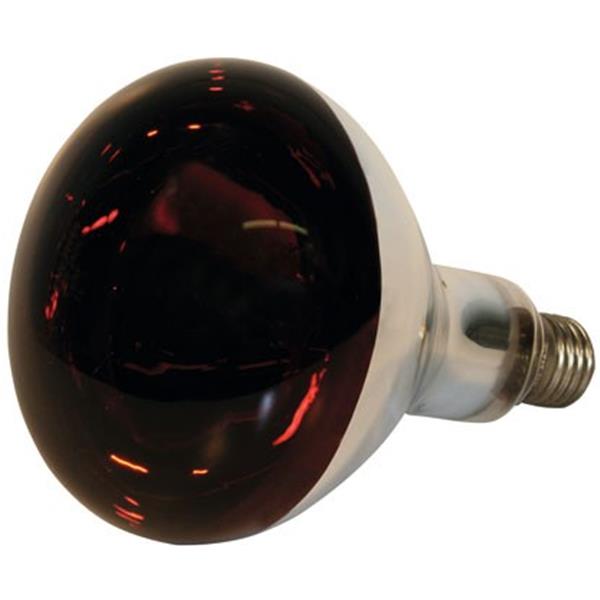 Hartglas-Infrarotlampe Kerbl 150 W - rot