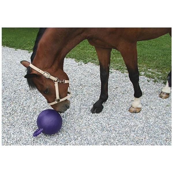 Žoga za konje, vijolična