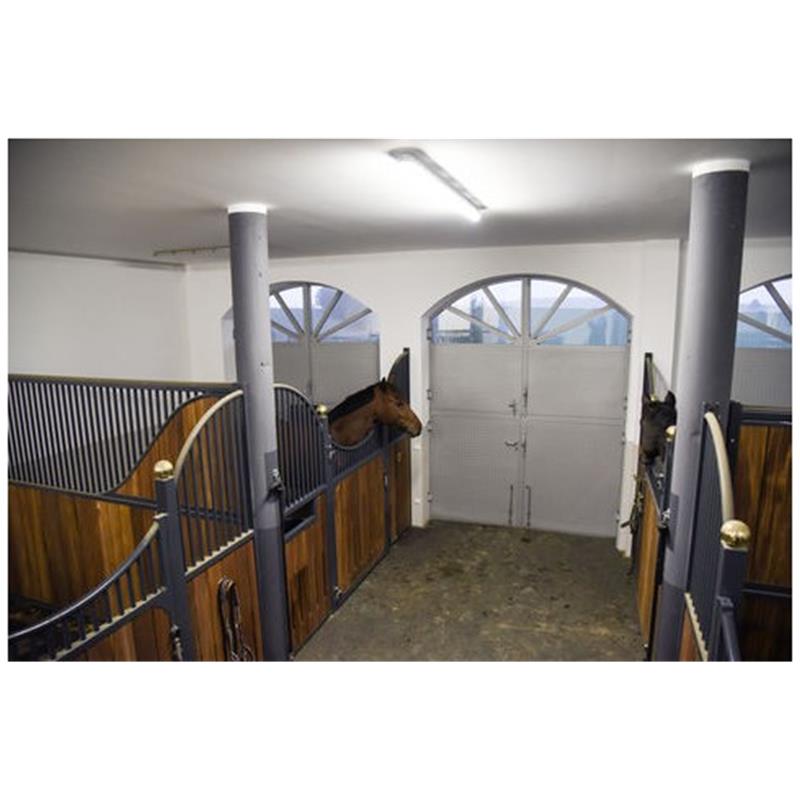 IPCam 360 FHD s 5-kratno optično povečavo