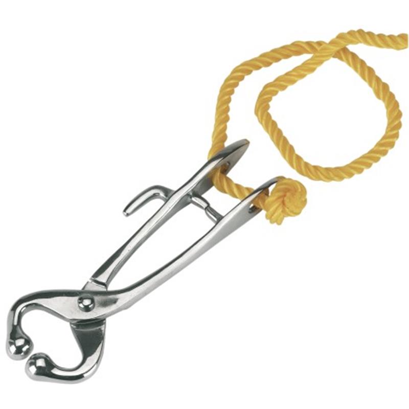 Vodilo za bika z vrvjo