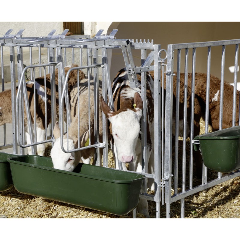 Telečarnik CalfHouse Premium XL z ograjo