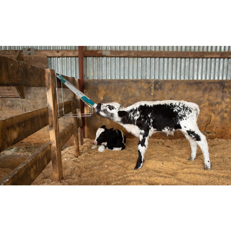 Antahi vrečke za mlezivo ( kolostrum ) - komplet