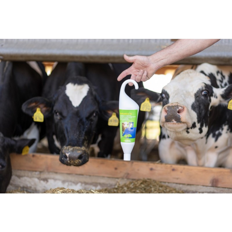 Sredstvo za nego vimen KerbaMint 35  - 5000 ml