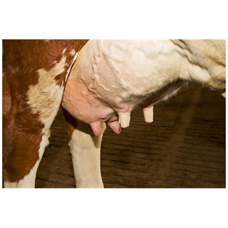 Povoj za seske UdderoSoft