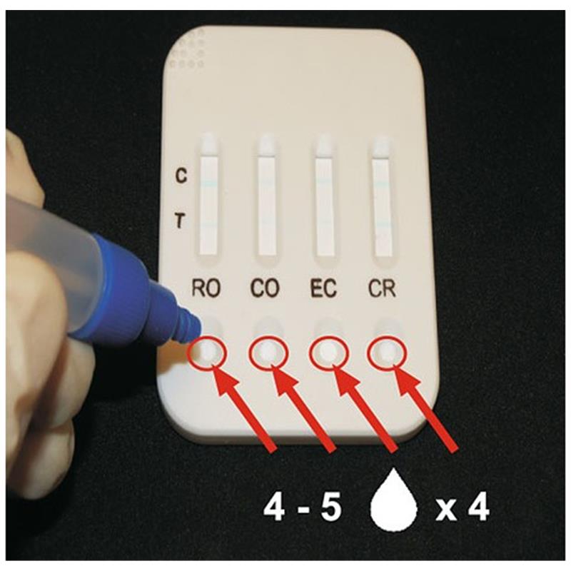Hitri test za drisko 4D