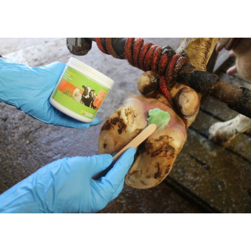 Pasta za parklje Podoseptan