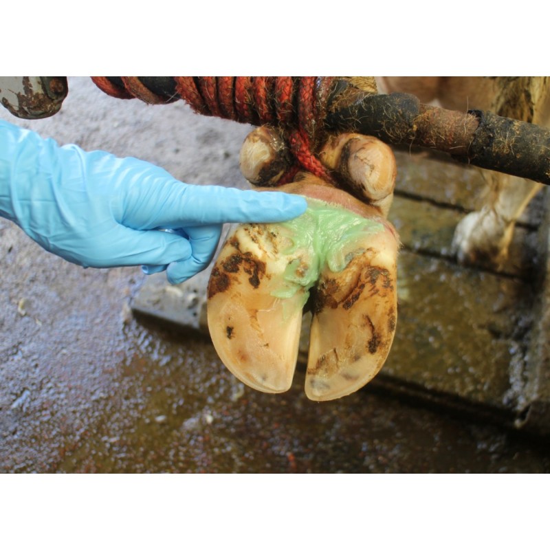 Pasta za parklje Podoseptan