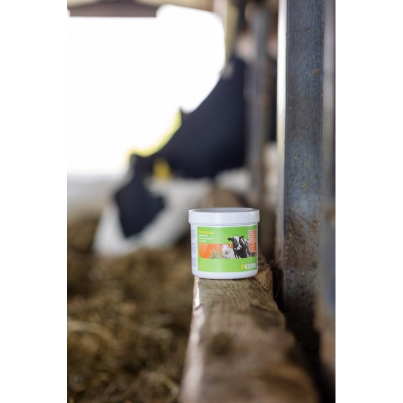 Pasta za parklje Podoseptan