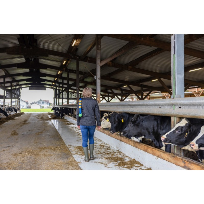 Utež za ovratnico 500 g