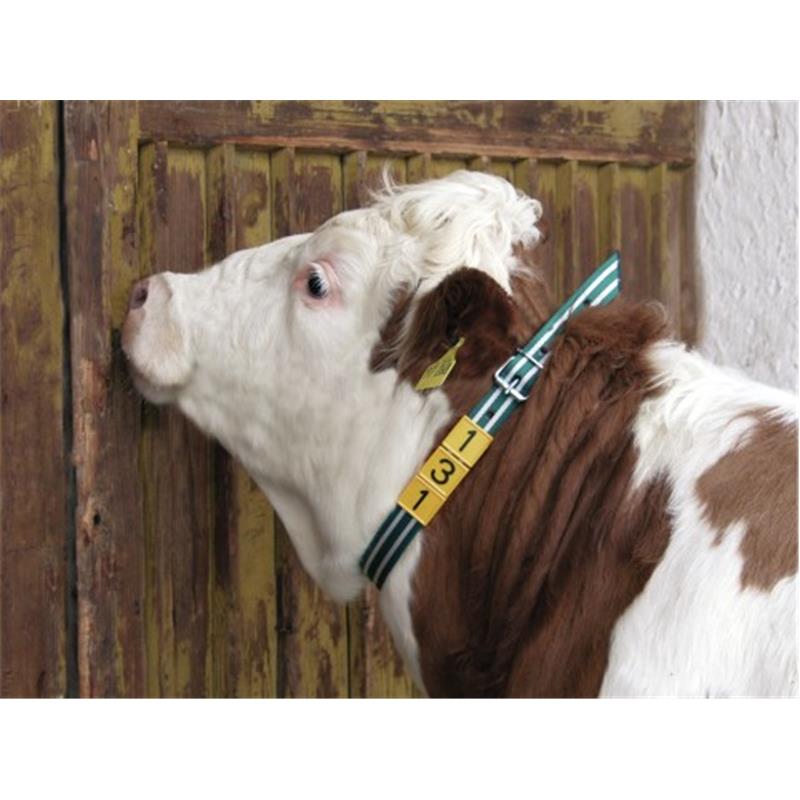 Ovratnica za številke 40 mm, zeleno/bela - Premium