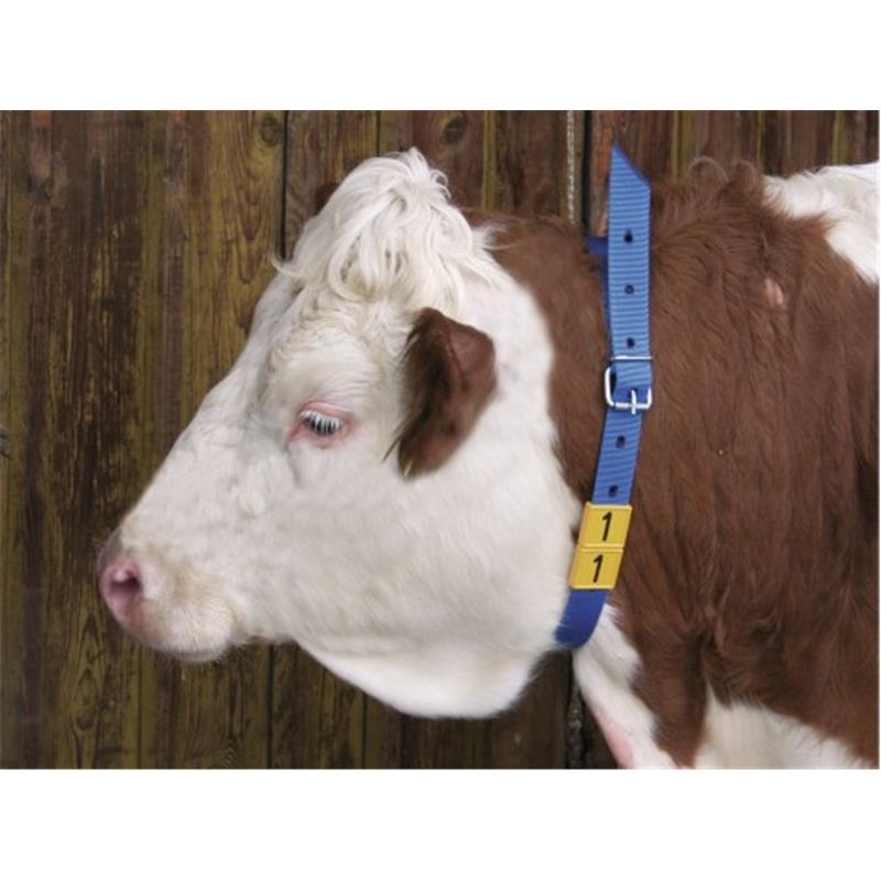 Ovratnica za številke 40 mm, modre barve - Premium