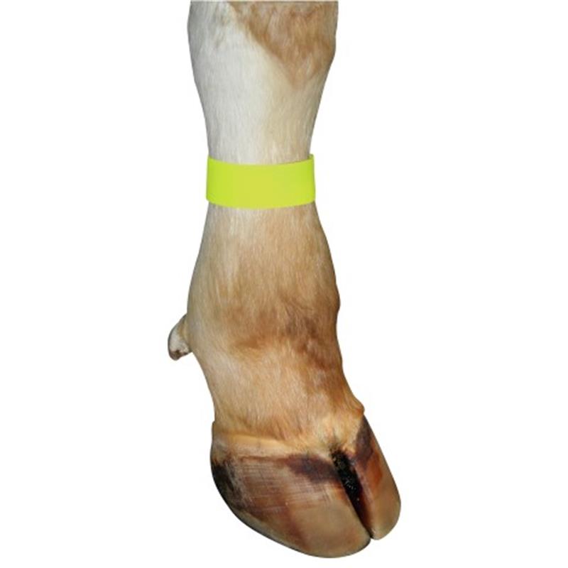 Trak za noge - 10 kom/pak