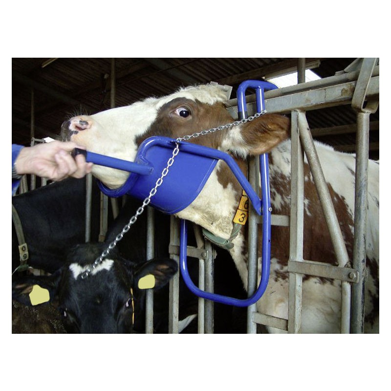 Naslon za glavo za govedo