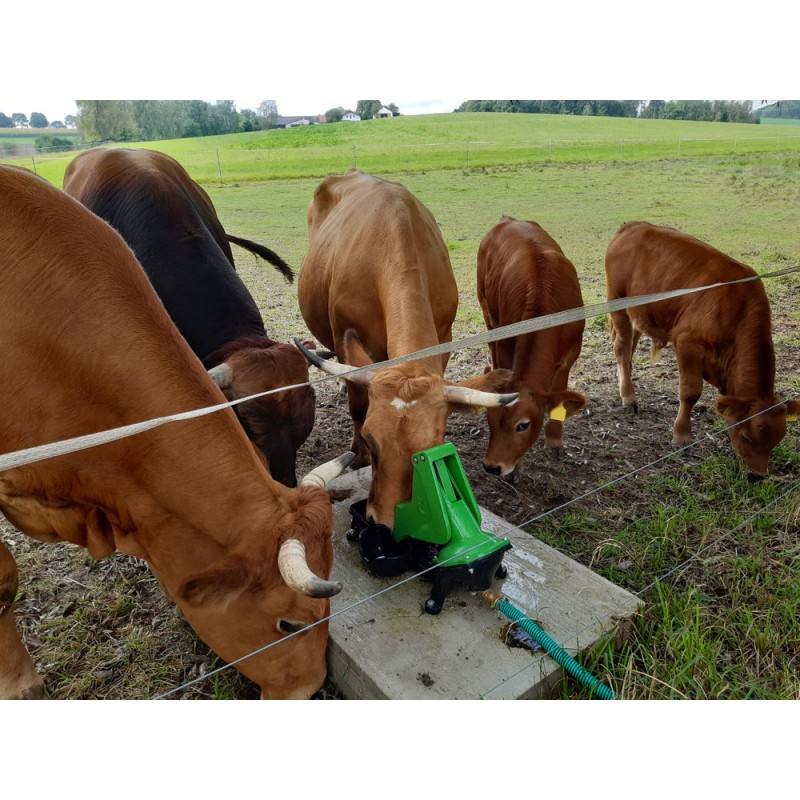 Pašna črpalka P100 DUO 1