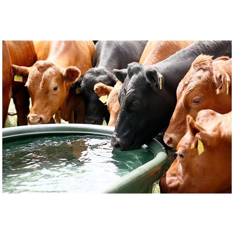 Pašno napajalno korito 550 ltr.