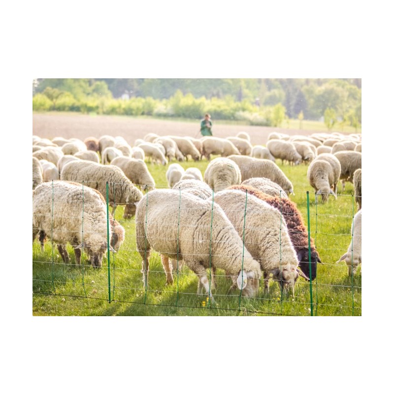 AKO TitanNet belo/zelena