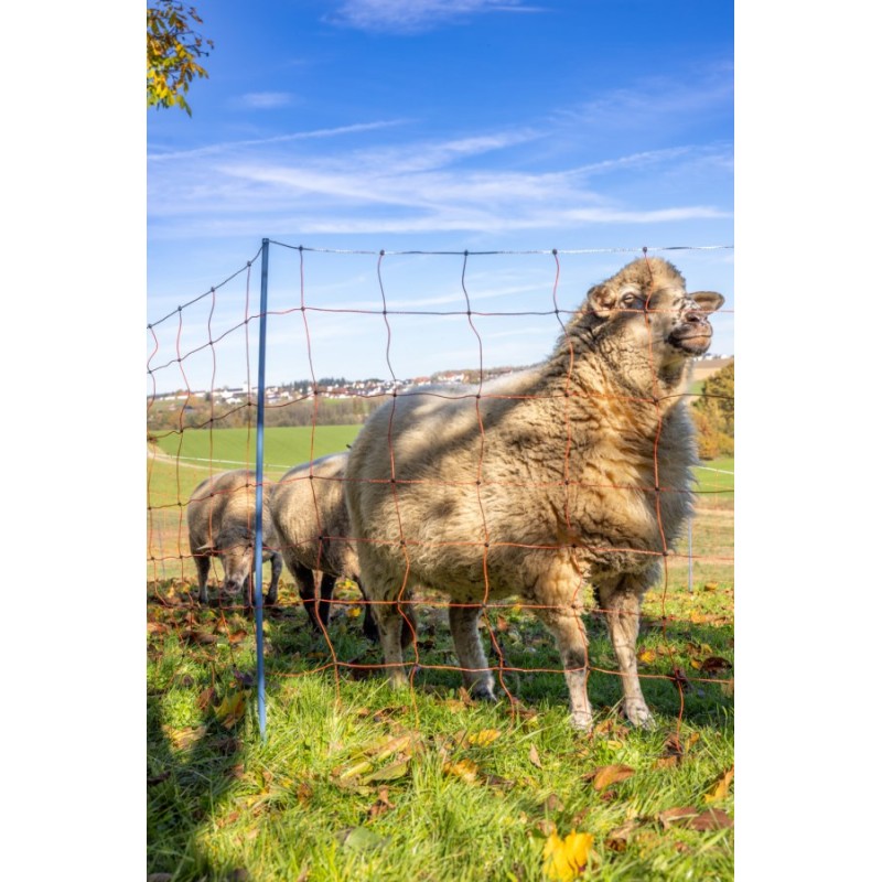 AKO OviNet Premium - PROMO