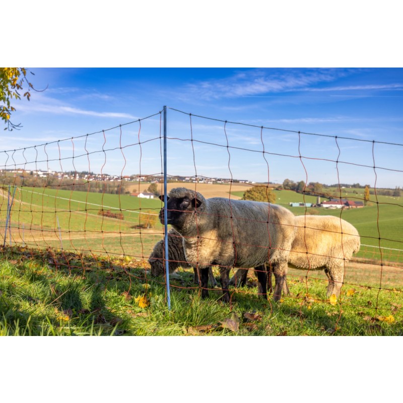 AKO OviNet Premium - PROMO