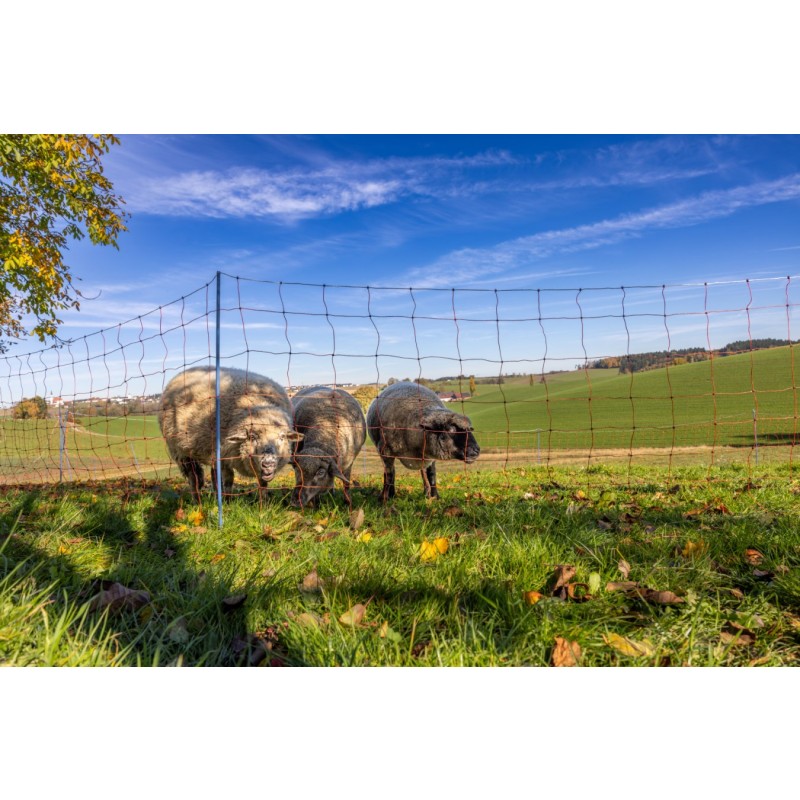 AKO OviNet Premium - PROMO