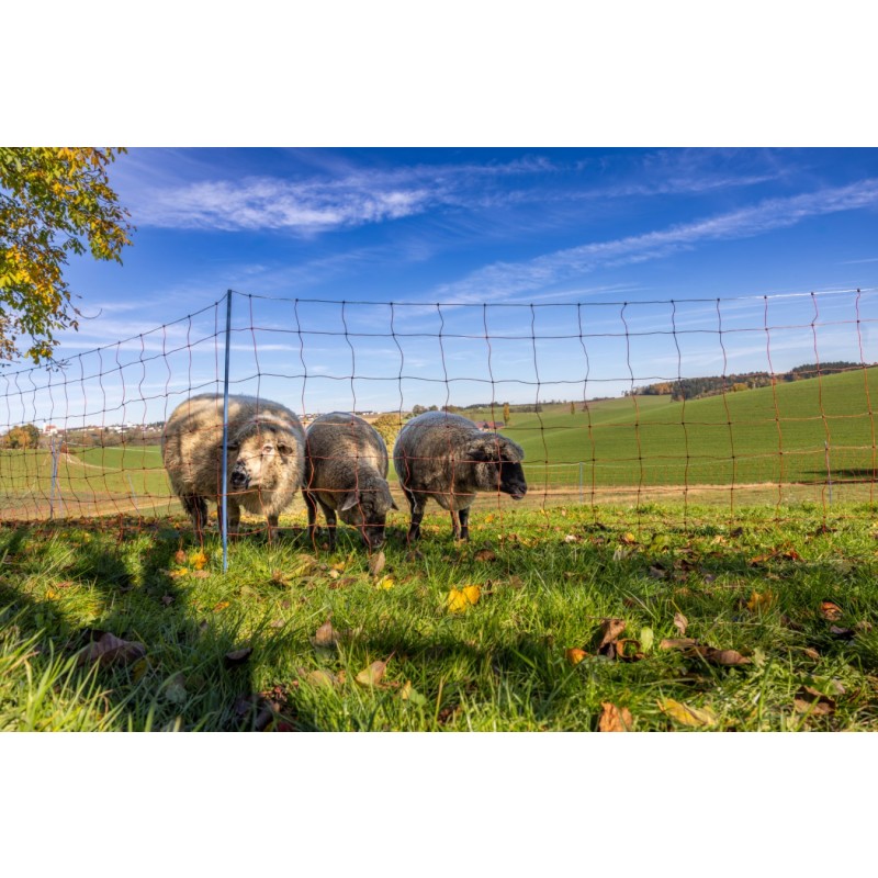 AKO OviNet Premium - PROMO