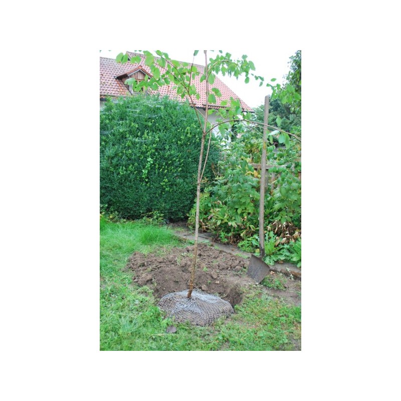 Mreža proti voluharjem