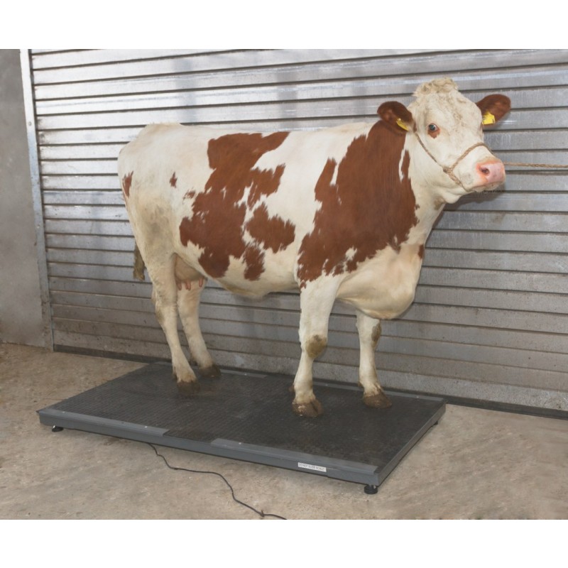 Tehtnica za živali PS 3000 ( do 1500 kg )