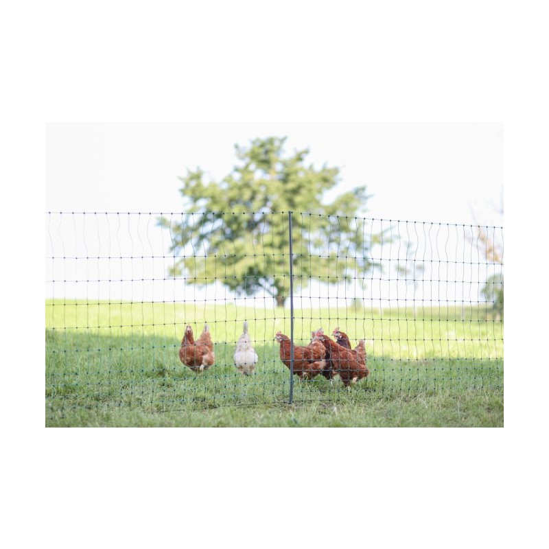 NEelektrična mreža za perutnino PREMIUM 