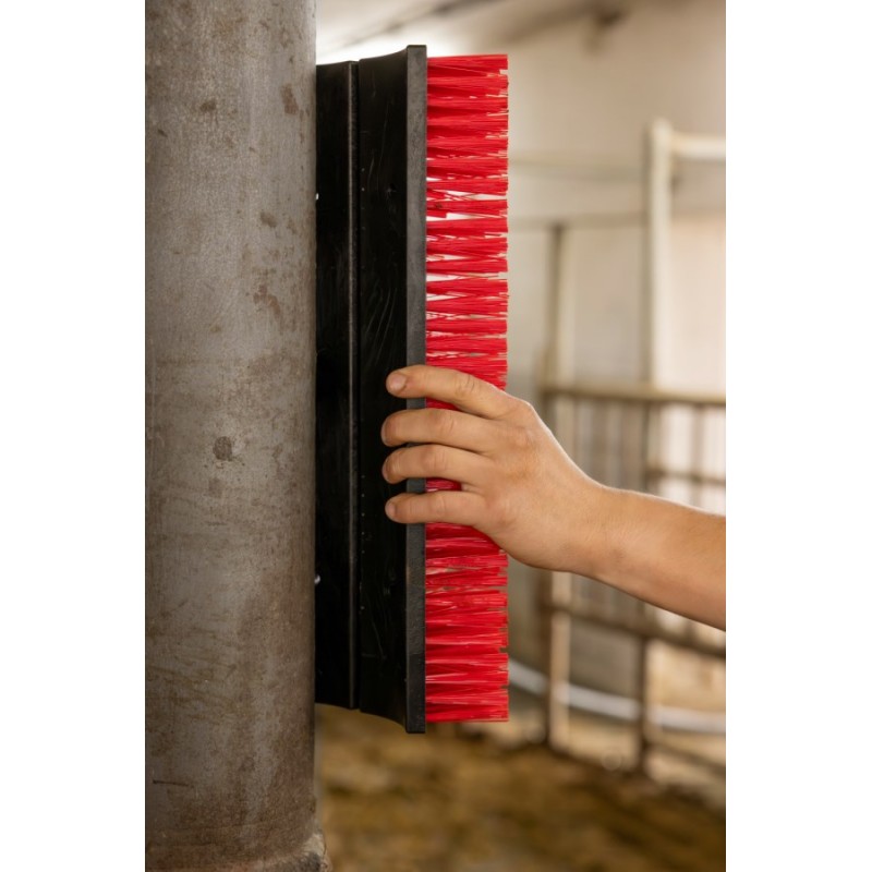 Fleksibilna krtača za praskanje Alice