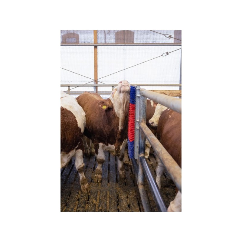 Krtača HAPPYCOW Bully