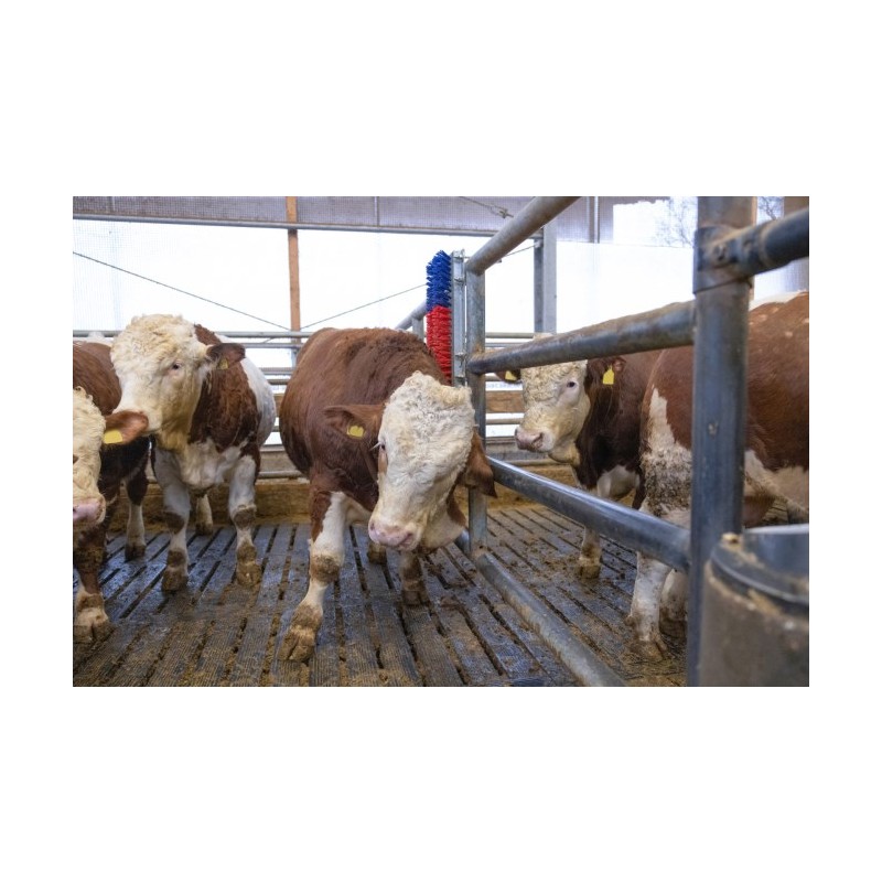 Krtača HAPPYCOW Bully