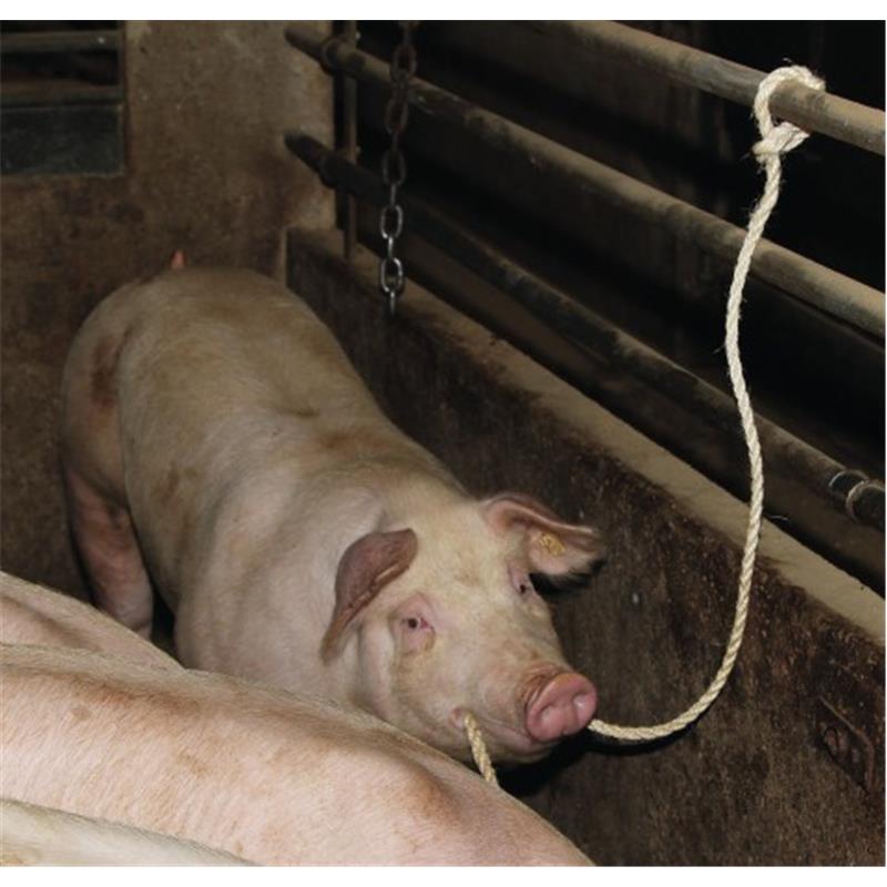 Sisal vrvica za igranje 320 cm