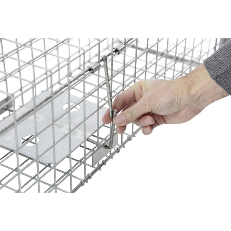 Past Alive Predator Super ( za mlade lisice, kune )