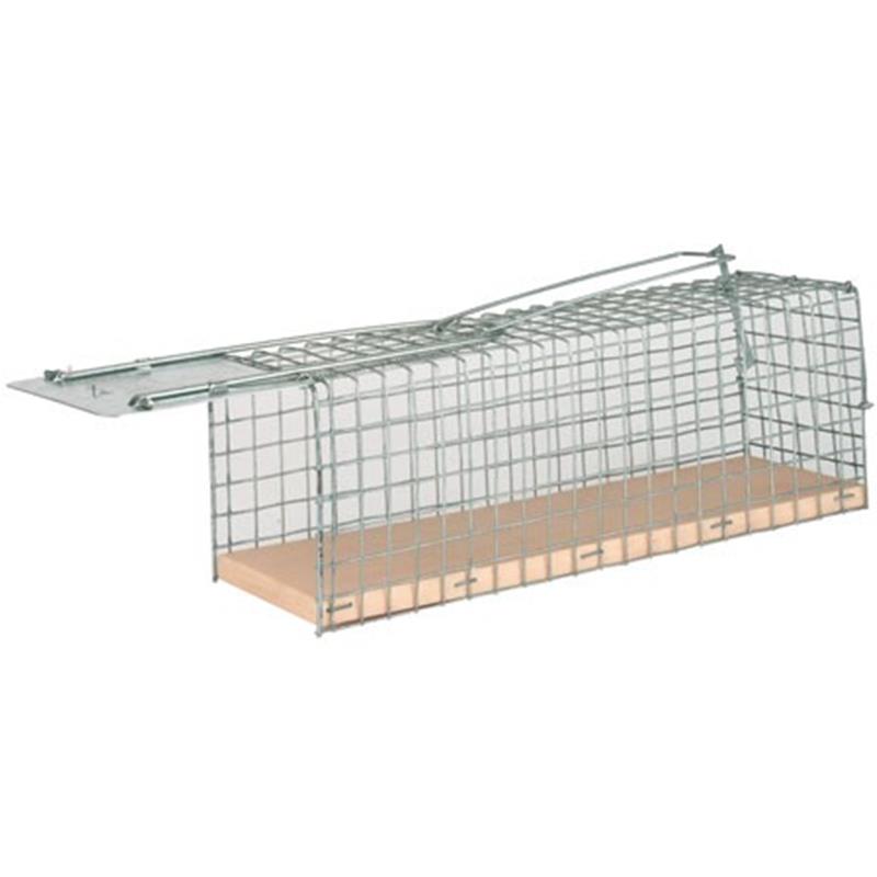 Past za podgane Alive