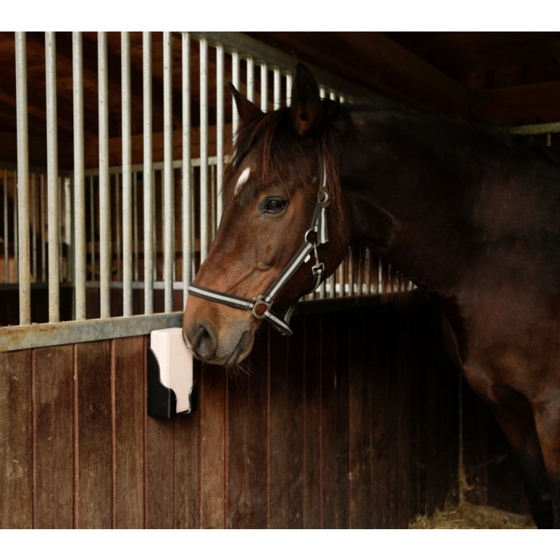 Držalo za lizalni kamen