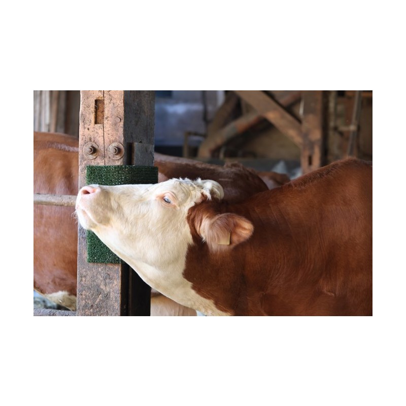 Blazina za praskanje in čiščenje KratzPad