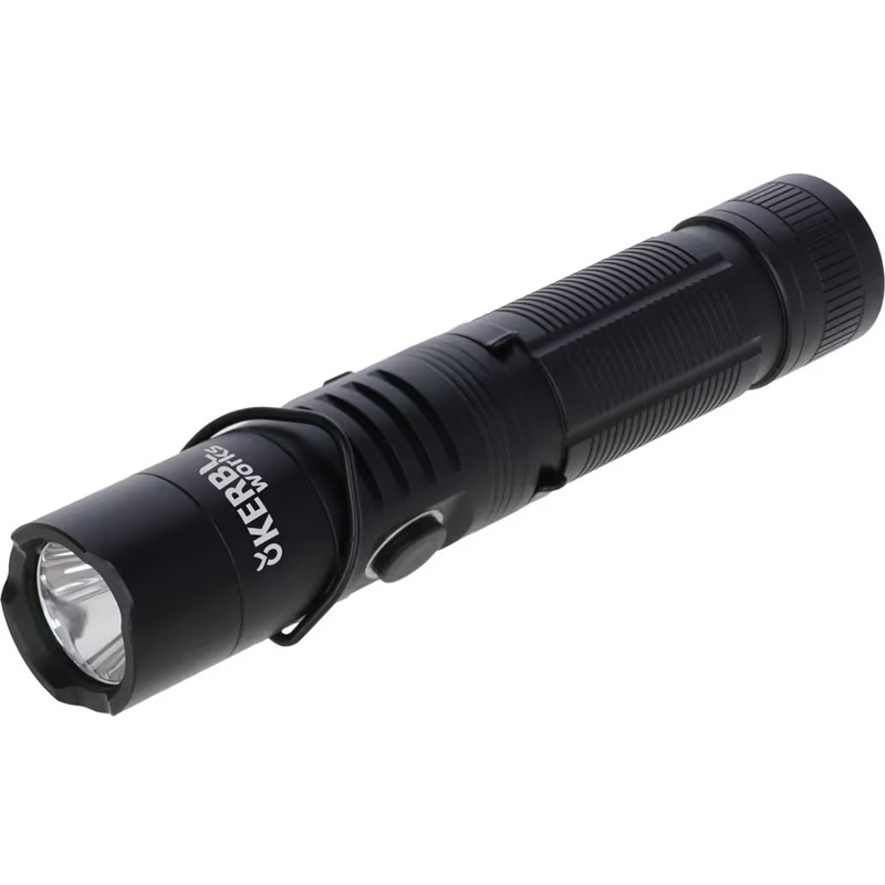 LED svetilka FlexFire 1 000 polnilna