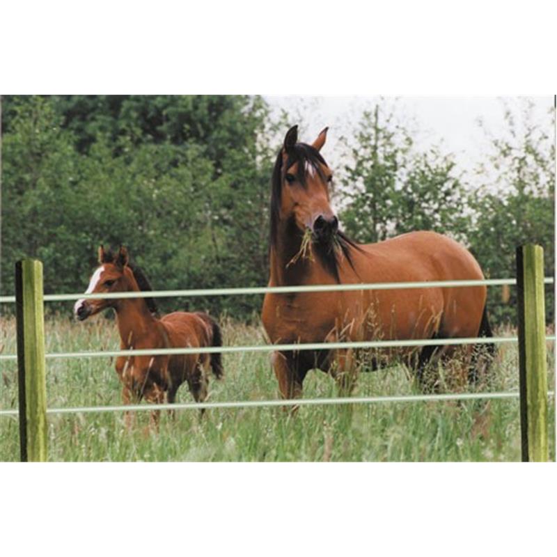 Leseni steber Octo Wood 100mm/225 cm - linijski