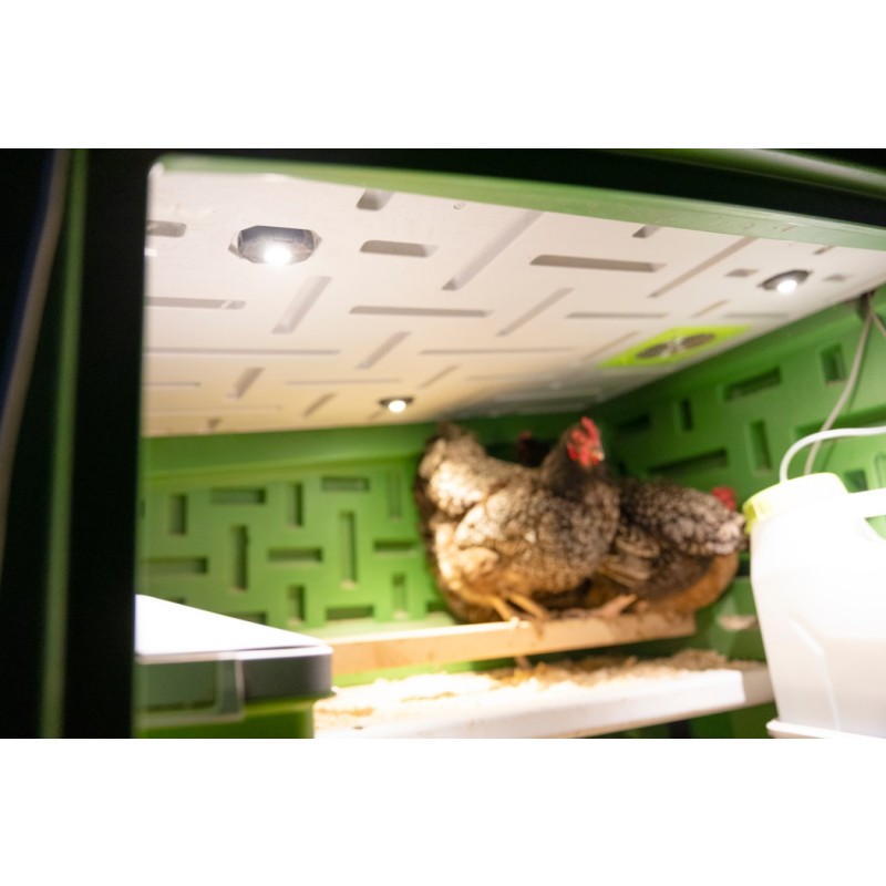 SmartCoop LED osvetlitev hleva 1,5W