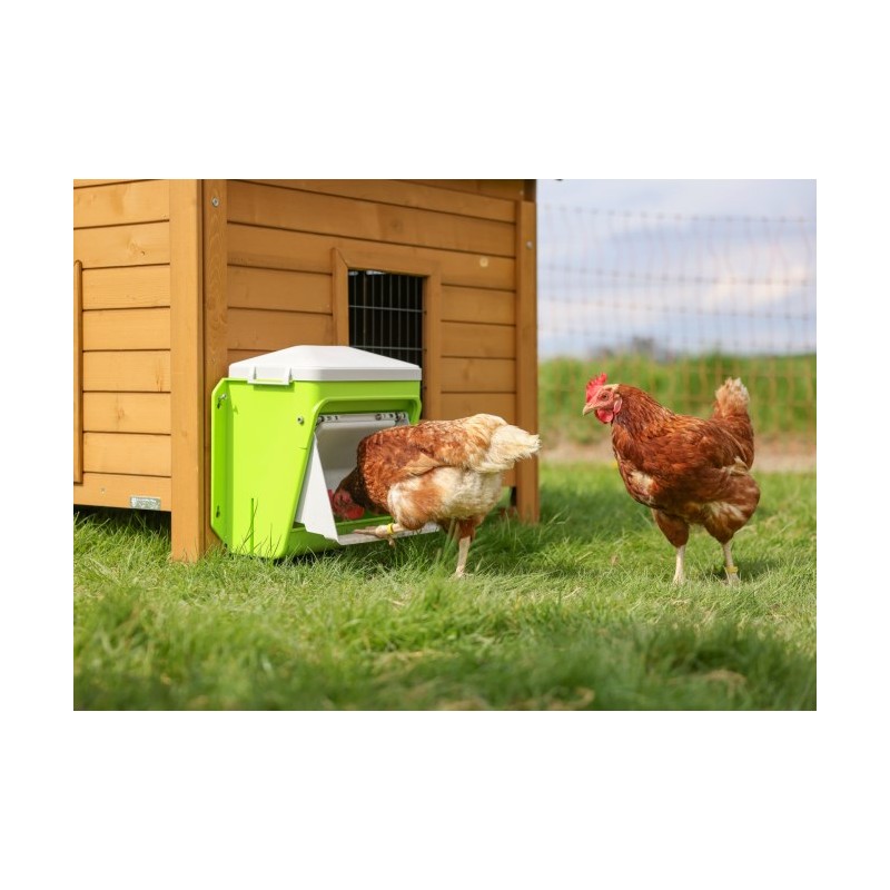 SmartCoop krmni avtomat z zaščitno loputo