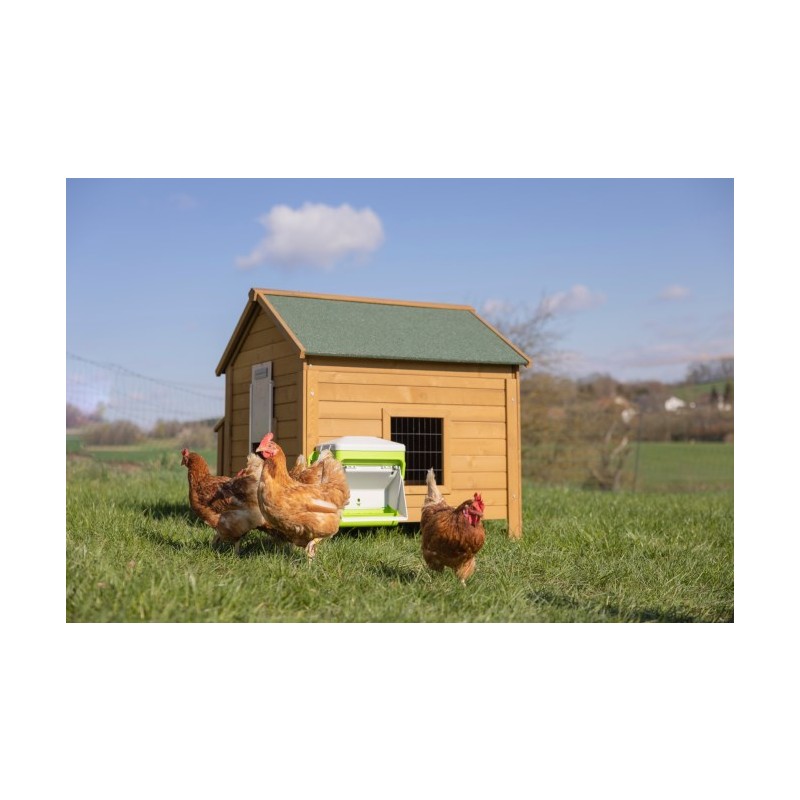 SmartCoop krmni avtomat z zaščitno loputo