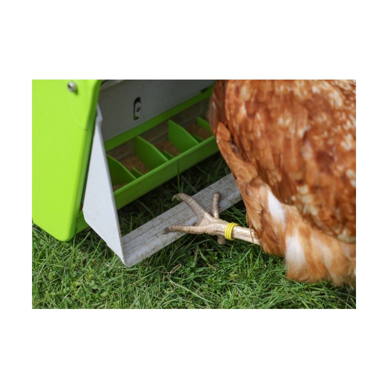 SmartCoop krmni avtomat z zaščitno loputo