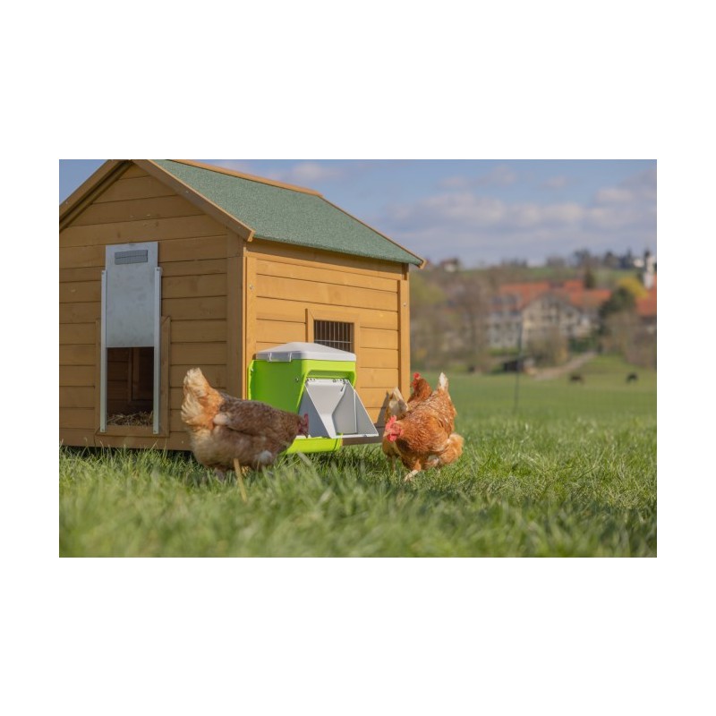 SmartCoop krmni avtomat z zaščitno loputo