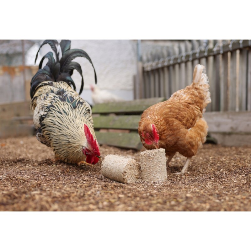 Briketi iz pirinih luščin 24/1