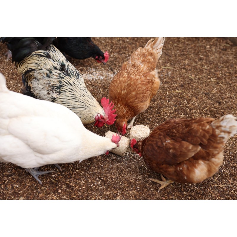 Briketi iz pirinih luščin 24/1