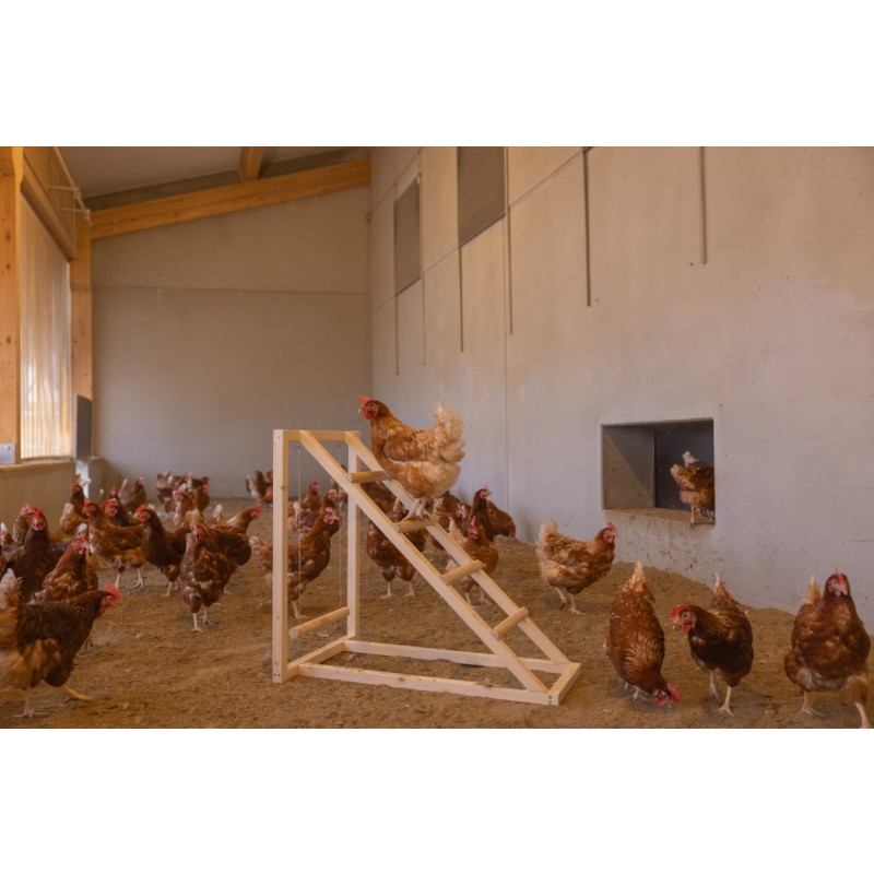 Plezalni stolp za kokoši