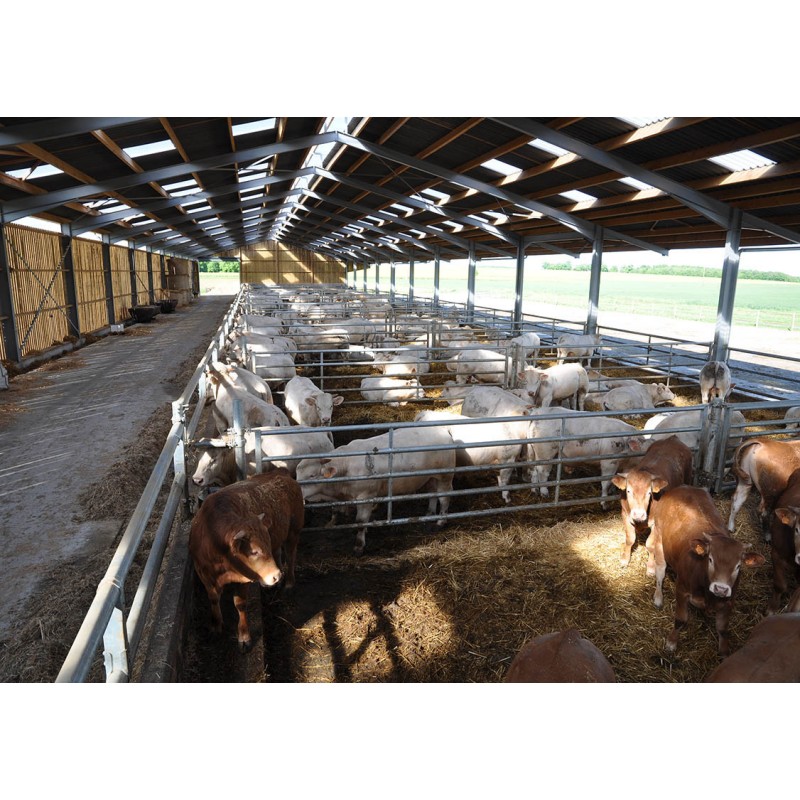 Teleskopska pregrada EX 5 