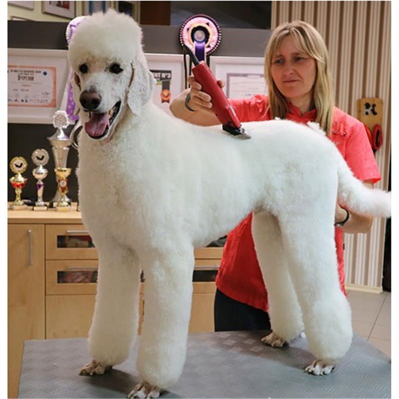 Aesculap strižni aparat Favorita SPEED