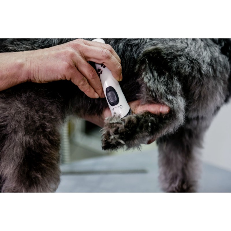 Številka artikla GT416  Aesculap Akumulatorski strižnik Exacta