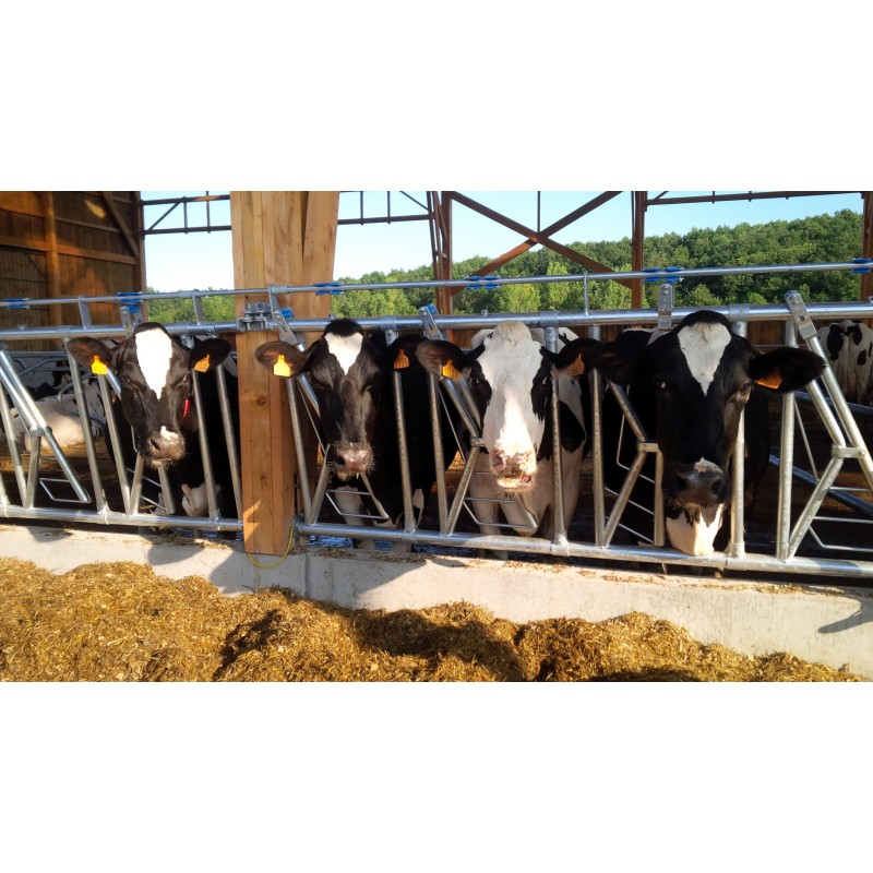 Samozaporna varnostna krmna pregrada LIBERTY 